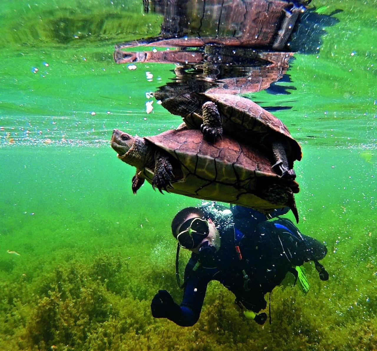 Villa Tranquila Lagunas De Ruidera Ossa de Montiel Esterno foto