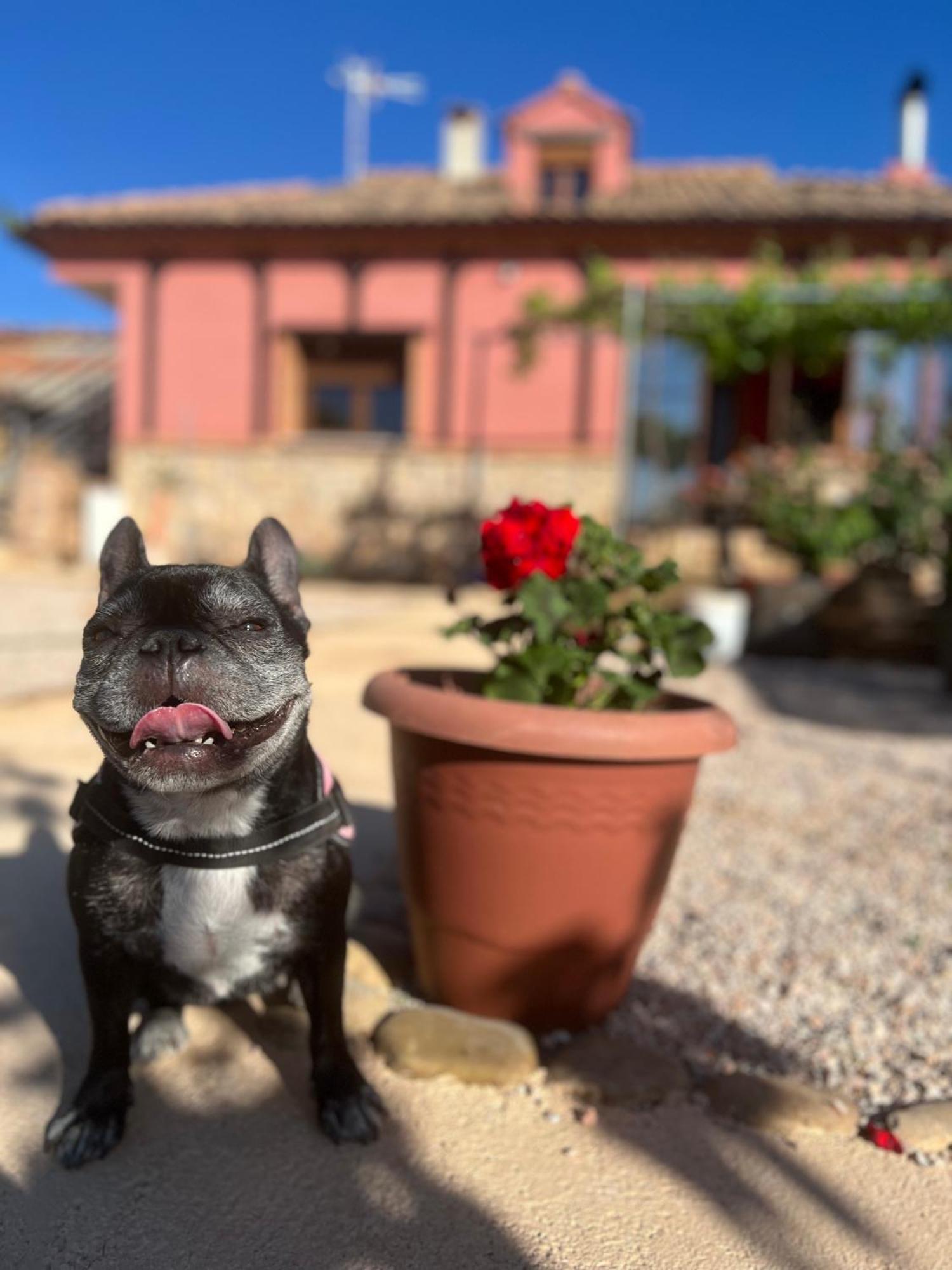 Villa Tranquila Lagunas De Ruidera Ossa de Montiel Esterno foto